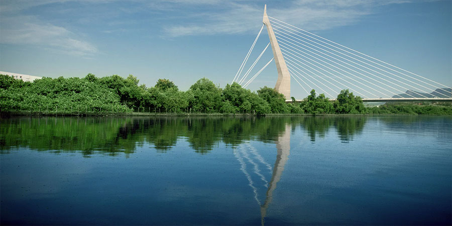Ponte estaiada moderna com único pilar refletida em um corpo d'água tranquilo, cercada por árvores e vegetação, destacando design arquitetônico e harmonia natural.